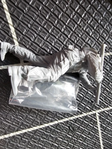 Buyer photo of this resin kit