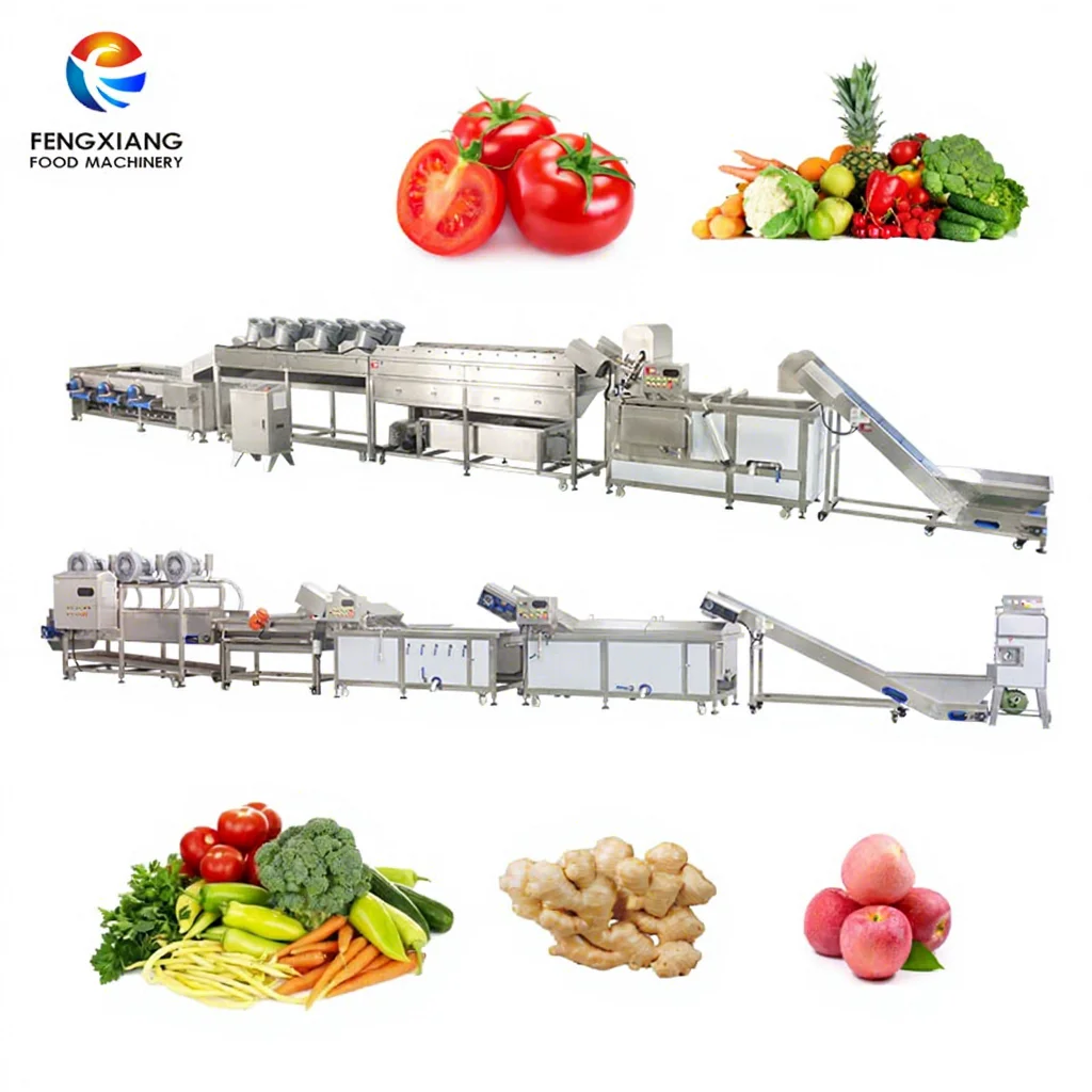 Industrial Fruit Vegetable Clean Line Commercial Vegetable Fruit Corn Sorting Washing Blanching Air-Drying Machine