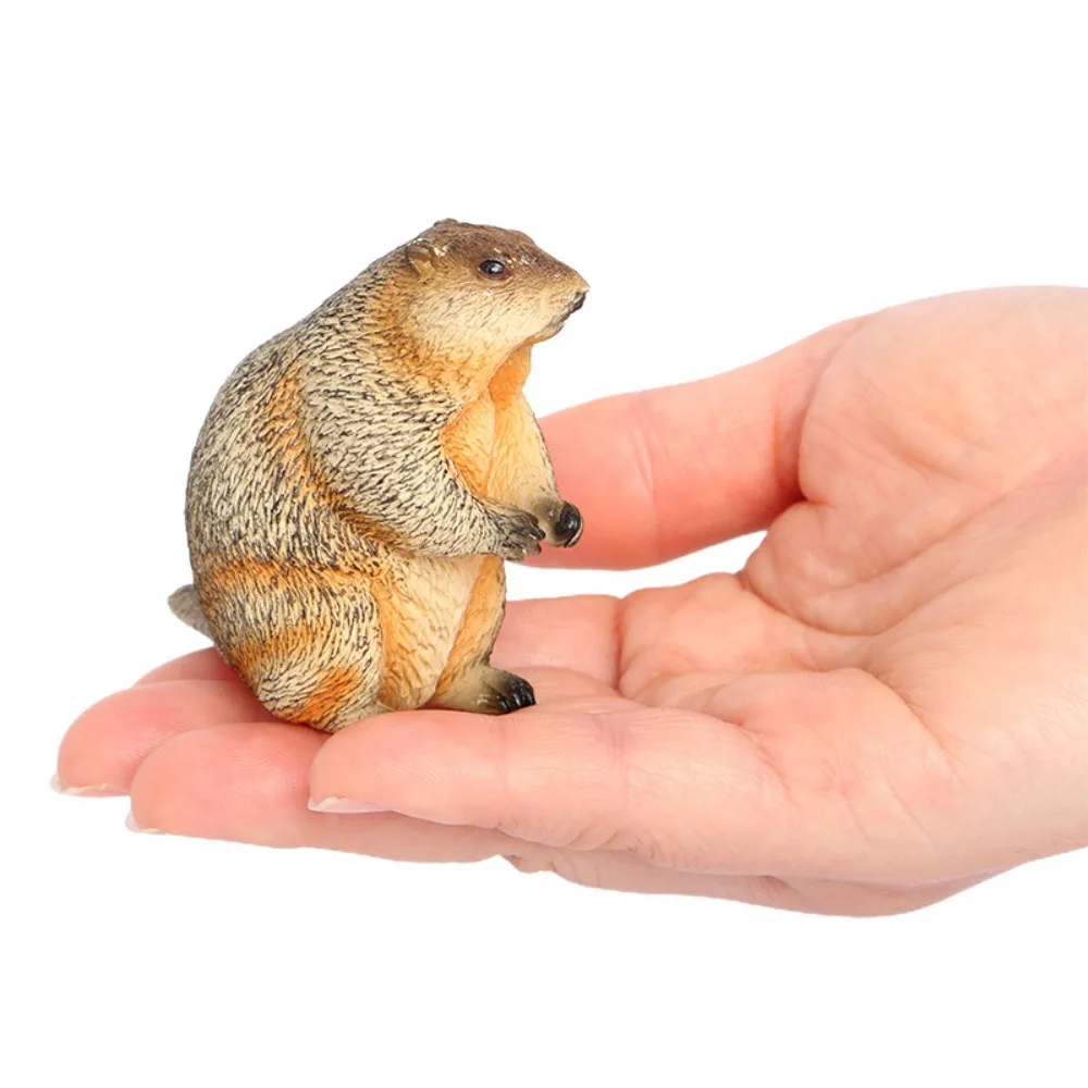 Realistic PVC Wild Animal Figurine Marmot Artificial Ornament Animal Ornament Simulated Solid Groundhog Model Home