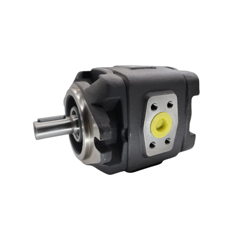 

Lowrider Hydraulic Pump Gear LXPG1H LXPG2H LXPG3H LXPG2G Hydraulic Gear Oil Pump LXPG1H-LX1/008RF1A0033