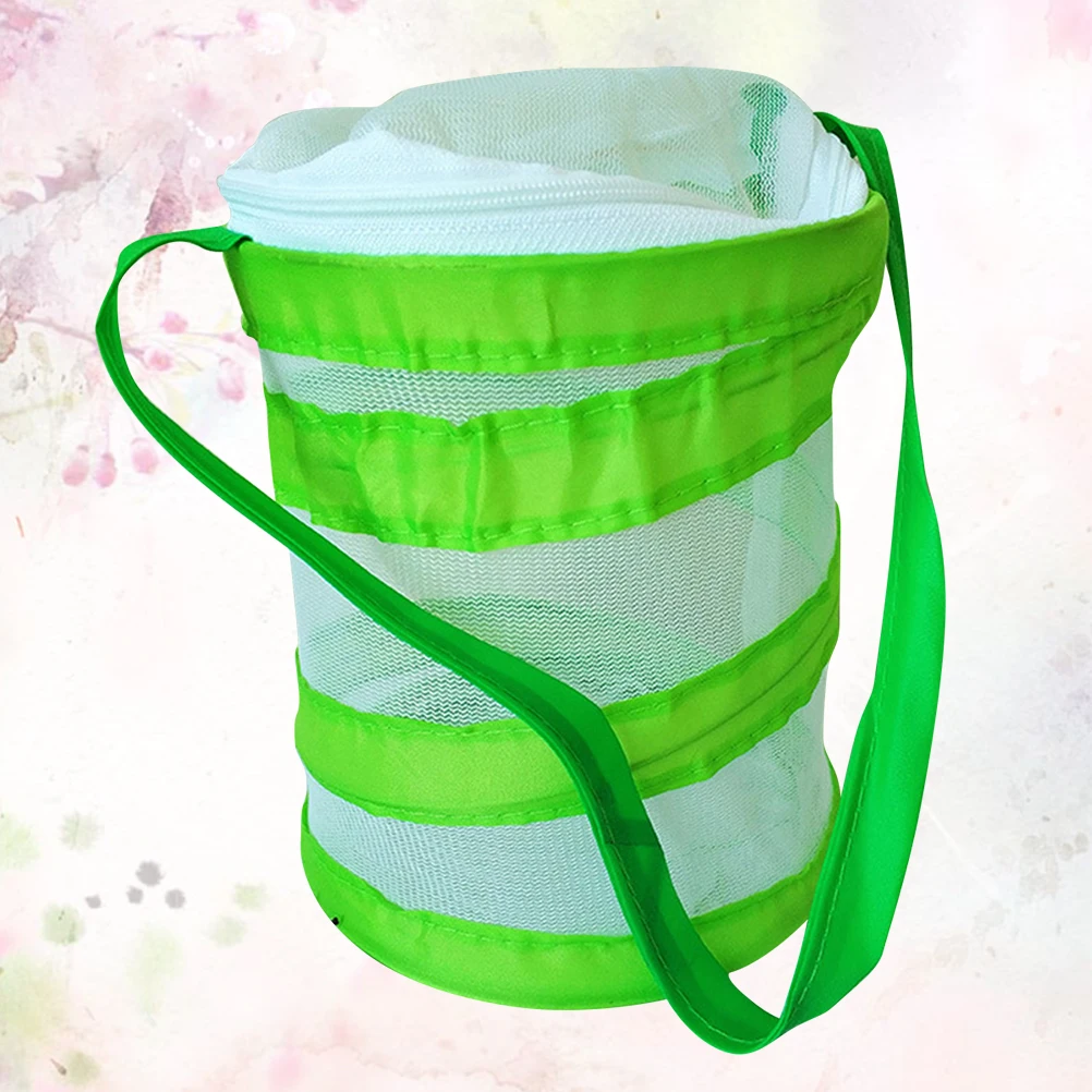 2 insetti e insetti con gabbia a farfalla per bambini che esplorano esplorano l'osservazione colorata per bambini piccoli