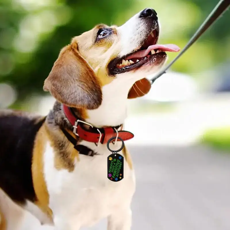 Custom Dog Tags Rectangle Stainless Steel Identification Pet Tags Lightweight Front And Back Rust-proof Dog Tags For Small Cats