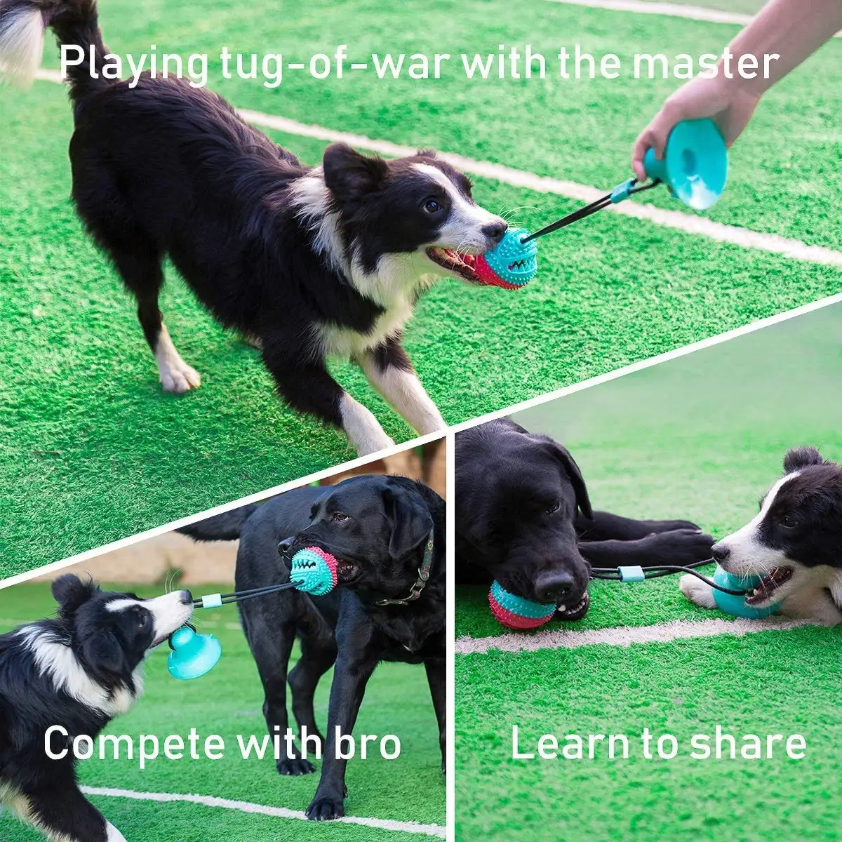 Jouet de dentition coule pour chiens de grande race, boule de guerre, UNIS issant mentalement, rouge et turquoise, TDPOF