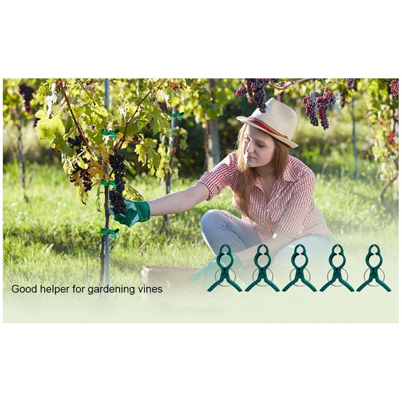 Green Small Gentle Gardening Plant Clamps To Easily Support And Straighten Plant Stems, Stalks And Vines