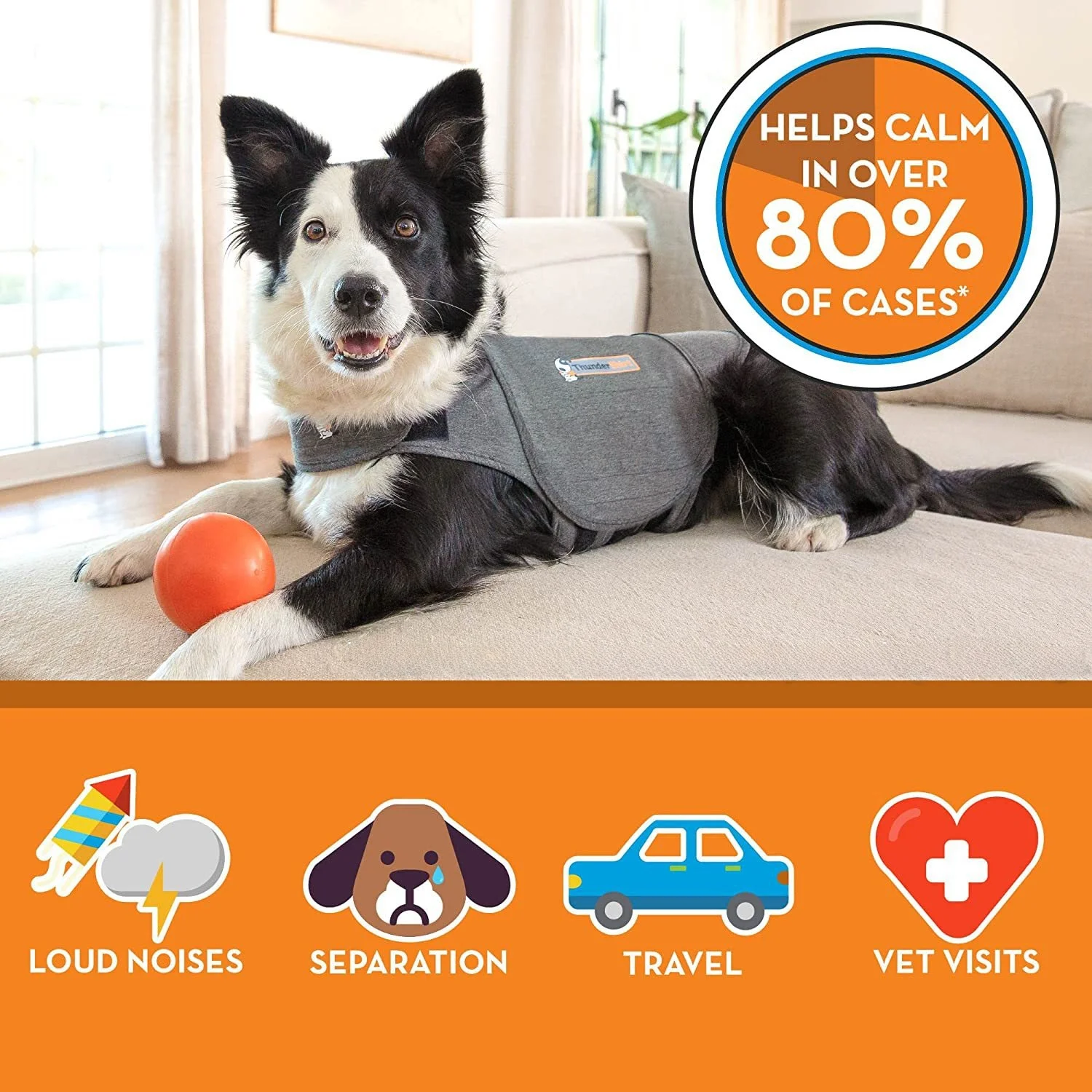 不安軽減犬用ベストペット服快適ジャケット犬用シャツ吸湿速乾半 - Dog Anxiety Vest のレビューと価格