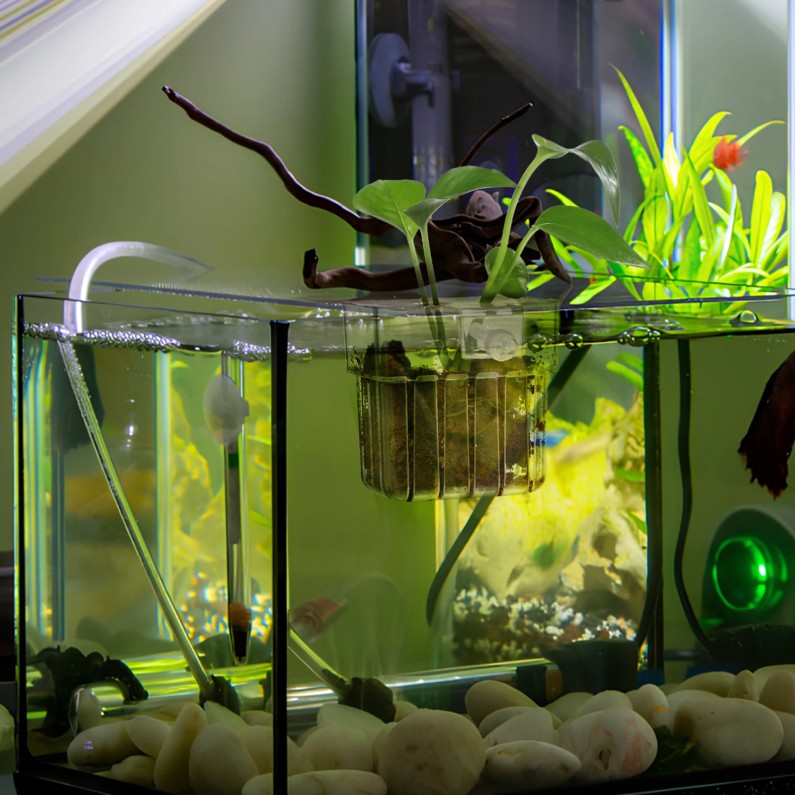 

4 Pcs Hydroponic Plant Growing Cup Clear Acrylic Aquarium Plant Pots Fish Tank Holder Bracket Hanging Planter Live Plants
