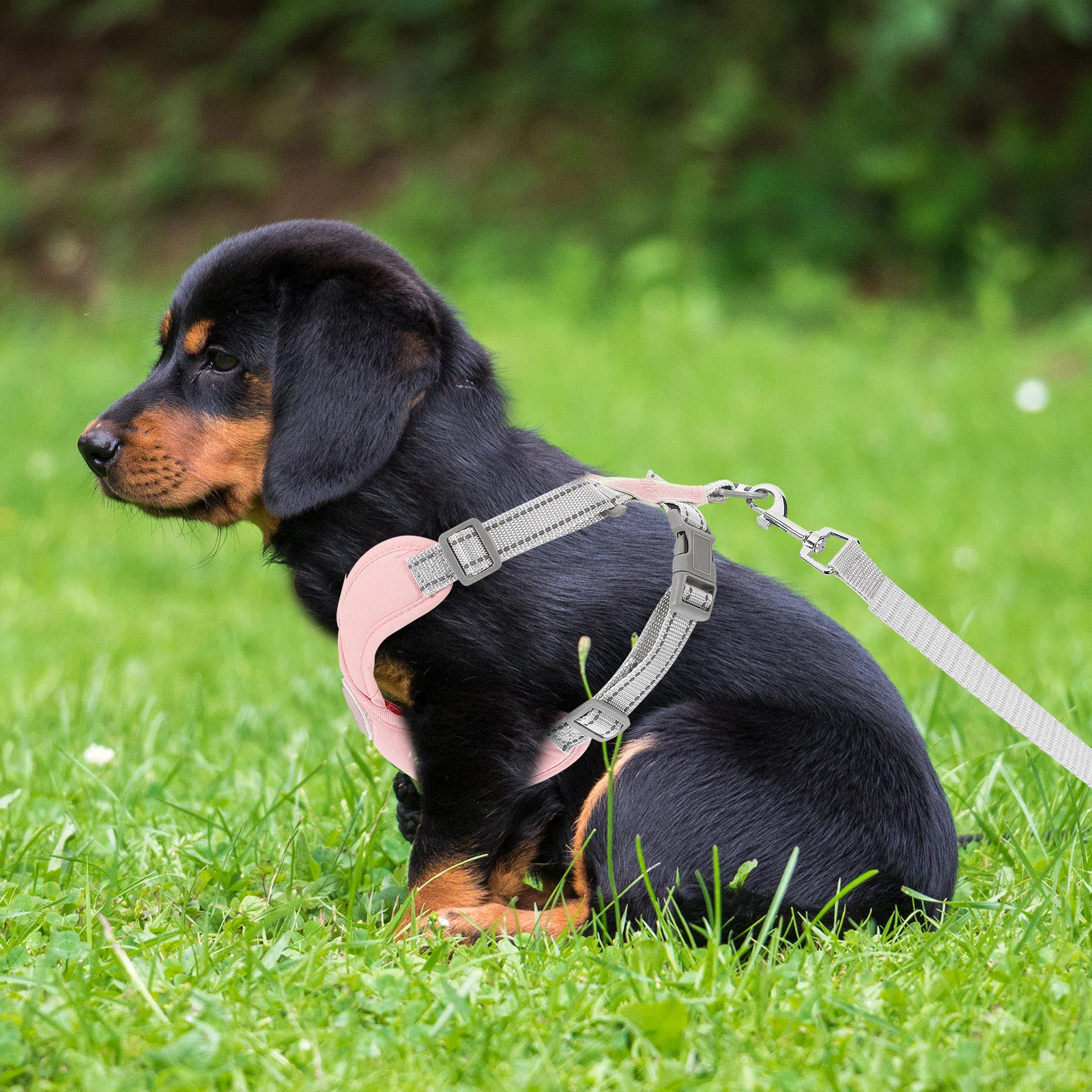 

1 Set Outdoor Dog Harness Portable Puppy Vest Leash Adjustable Reflective Wear-Resistant Lightweight Reusable Durable Vest For