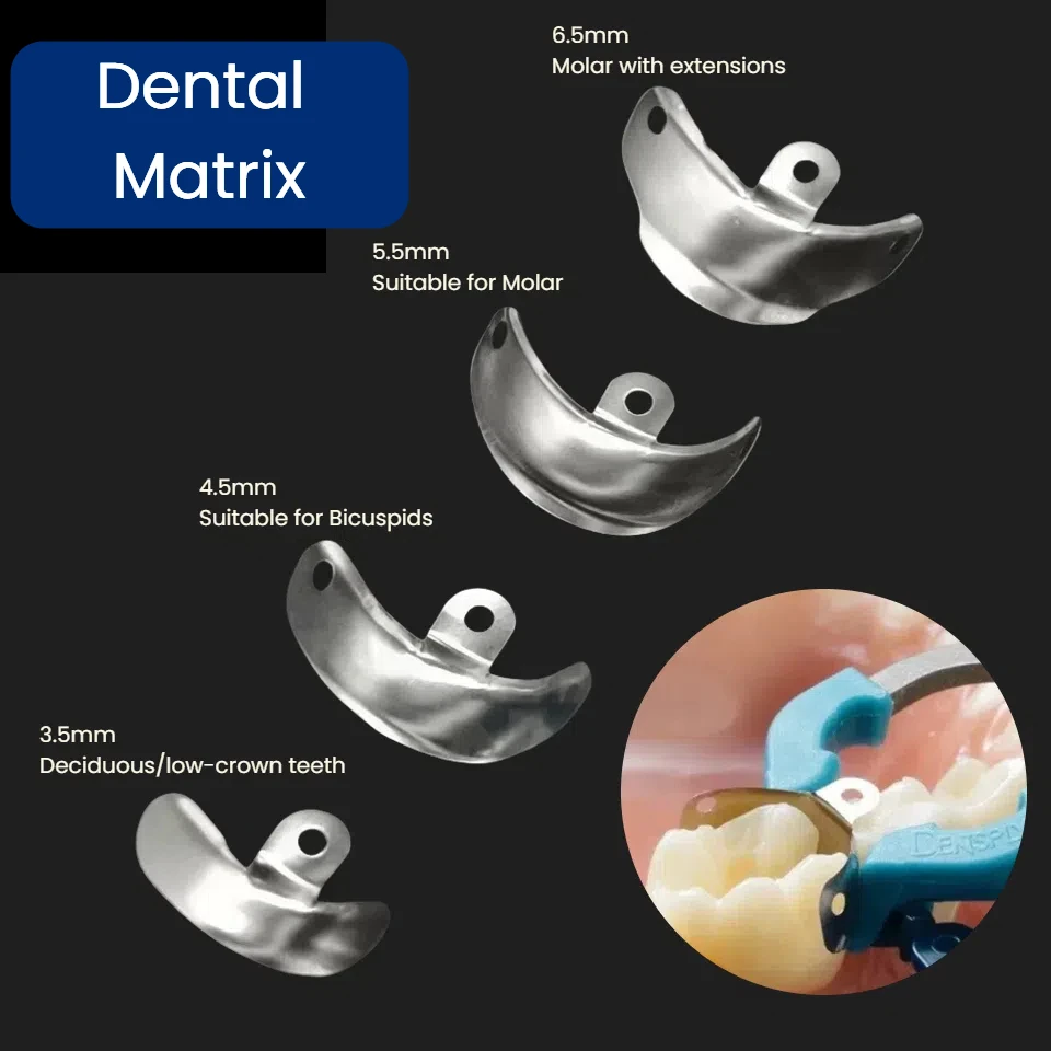 أربطة مصفوفة مقطعية للأسنان مصفوفات مولي ثلاثية الأبعاد نتوءات ثقب مصفوفة تناسب حامية Palodent بالإضافة إلى نظام مصفوفة مقطعية