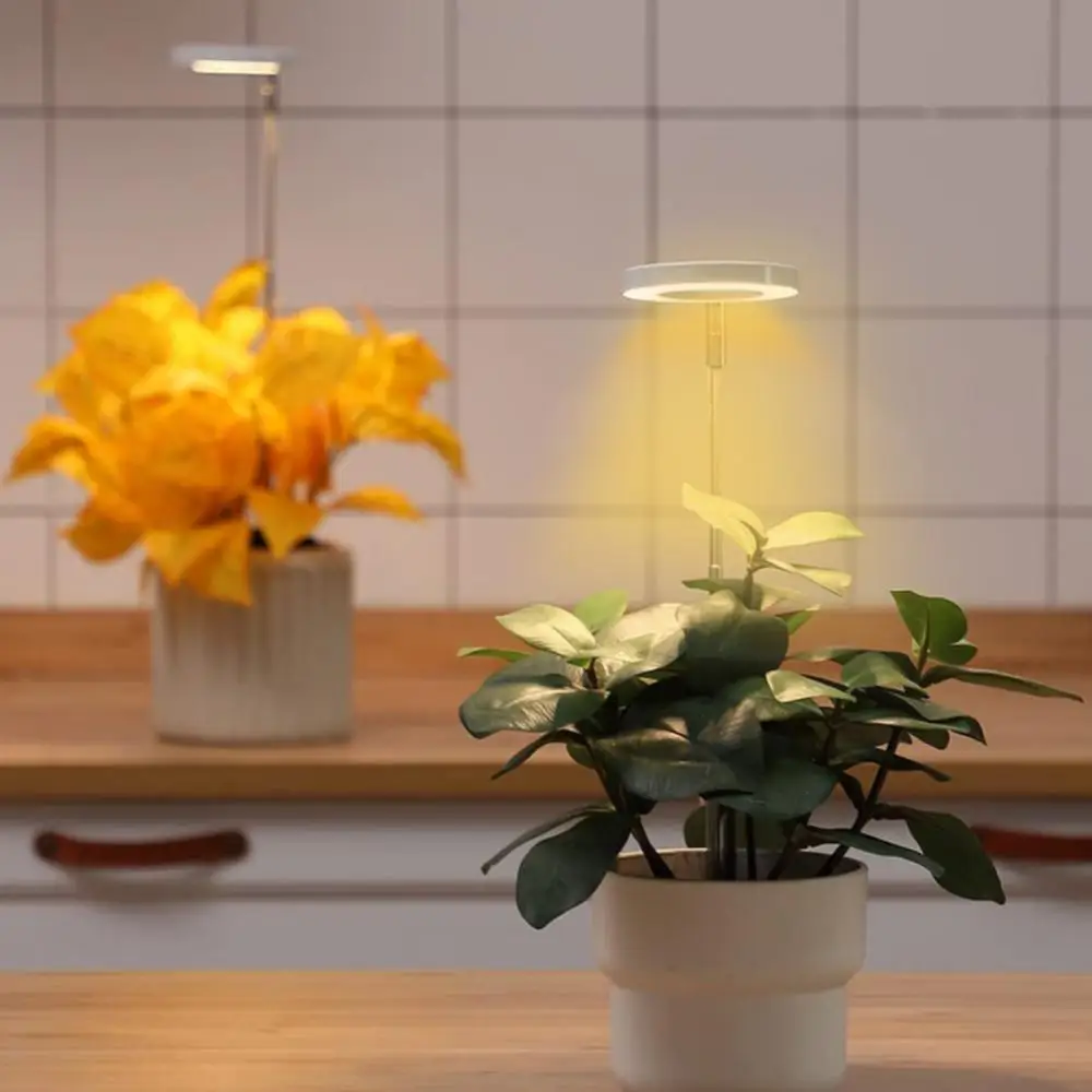 Phyto-lampe LED USB 5V pour culture de plantes d'intérieur, éclairage horticole de croissance