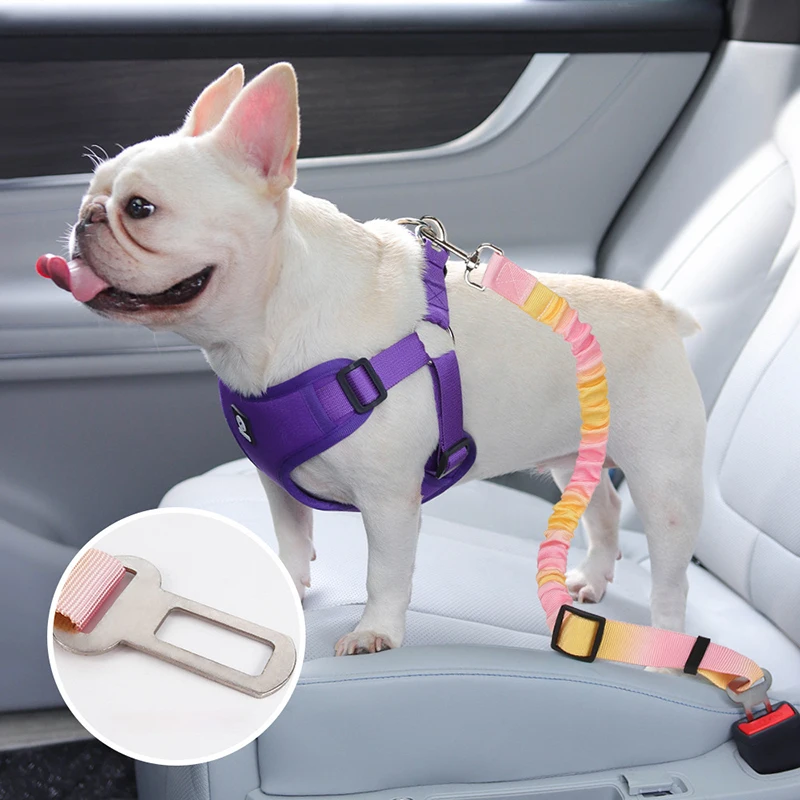 Retractable Elastic Pet Safety Belt Adjustable Anti Chew Tangle Free Travel Secure Car Safety Strap for Cat Dog Outdoor Pet Gear