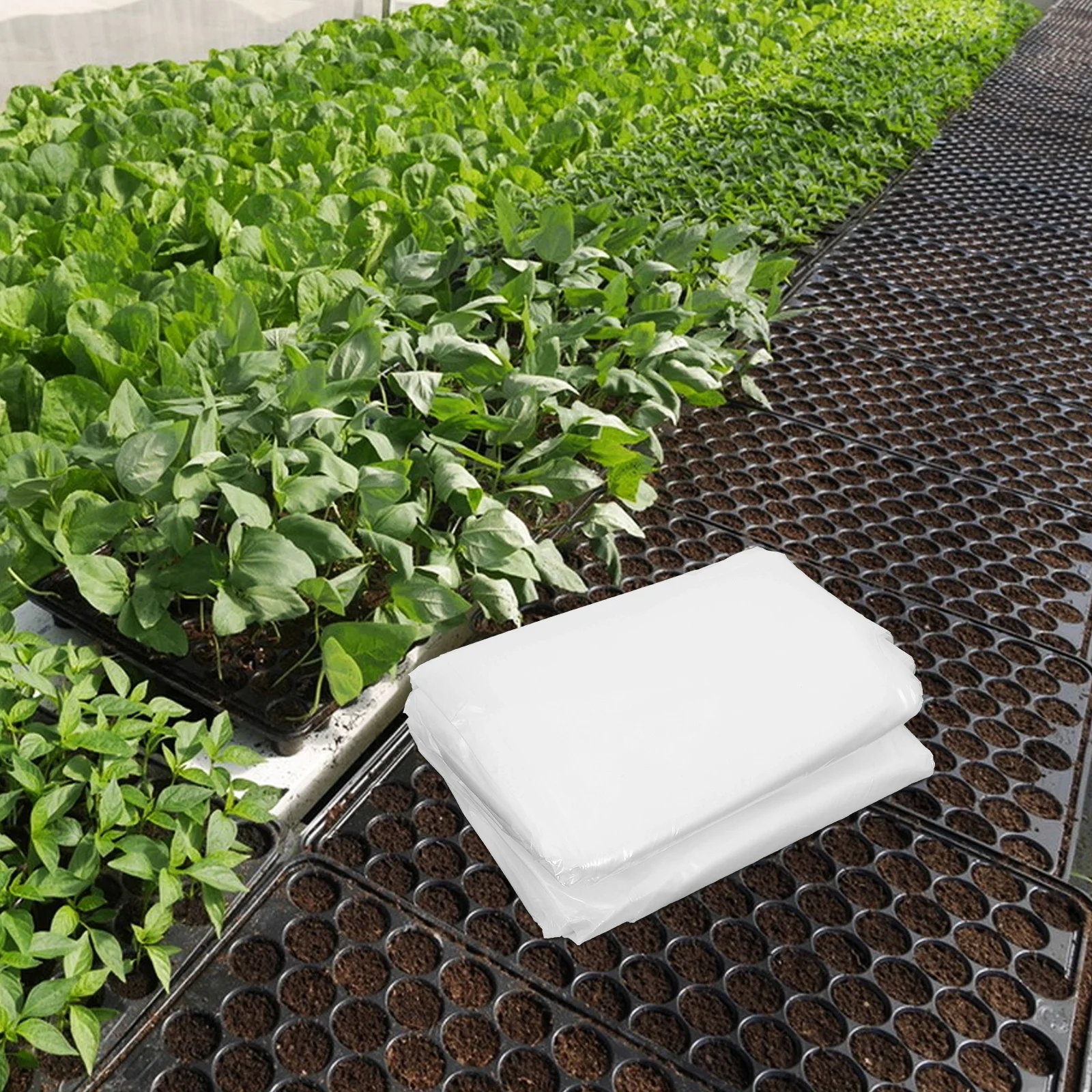 

Clear Greenhouse Plastic Sheeting Heavy Duty Transparent Polyethylene Film Frost Waterproof Protection Cover For Garden