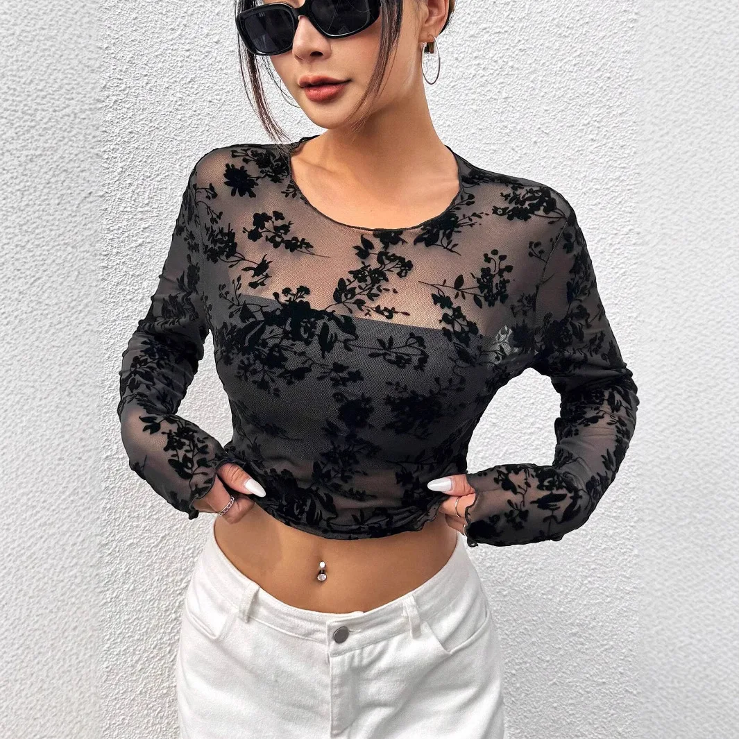 2026 Summer Women's Black Sexy Mesh Round Neck Long Sleeve T-Shirt Tops for Women