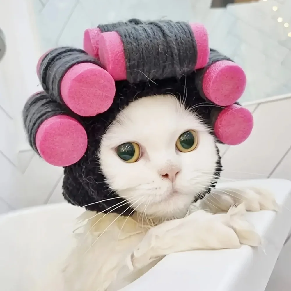 Interessante lockige Haustiermütze, geeignet für Katzen und Hunde, verstellbar für Halloween und Weihnachten, Katzenzubehör, Haustiermützen für Katzen