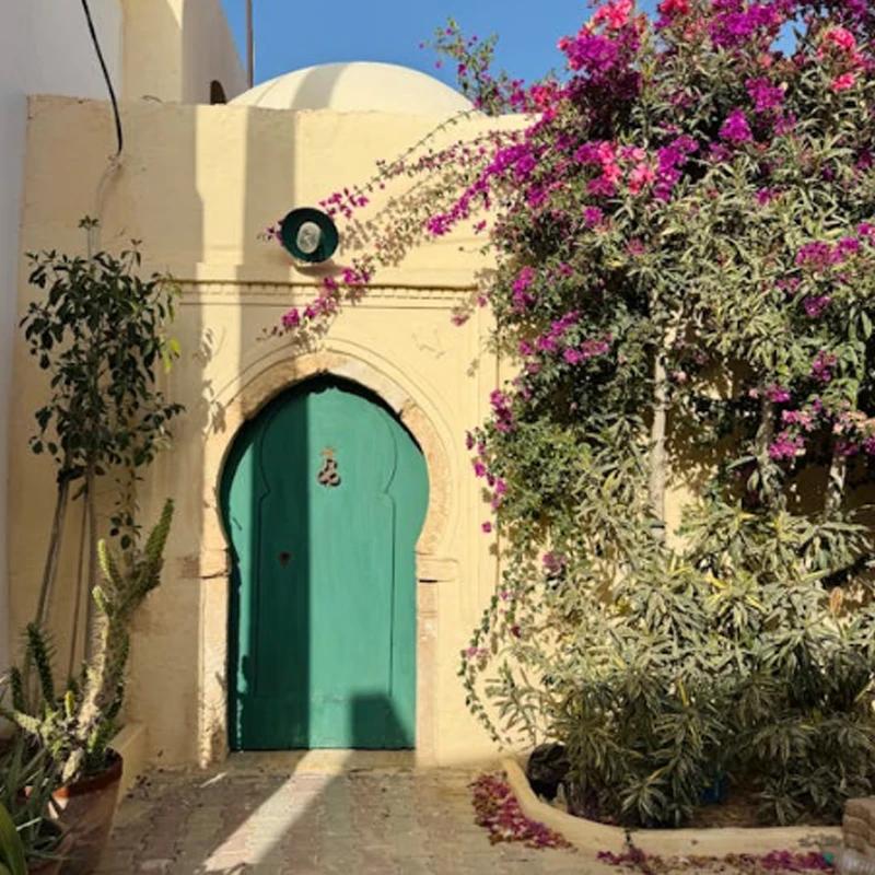 Jx Servo PDI-5513MG…