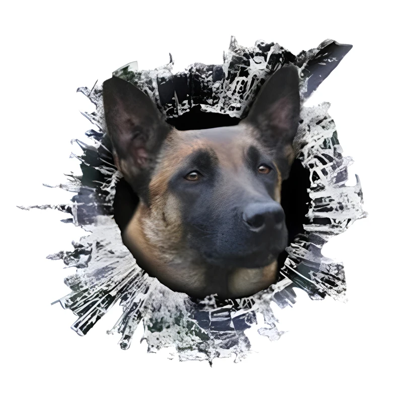 

GS49# stickers decals malinois-breaking Stickers Car Decals, Weather-Resistant Vinyl Stickers for Windows, Bumper
