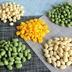 Fake Food Display Props, Artificial Simulation, Cashew, Nut, Raisin, Wheat, Rice, Beans, Red Dates, Currant, Peanut, Corn Model,