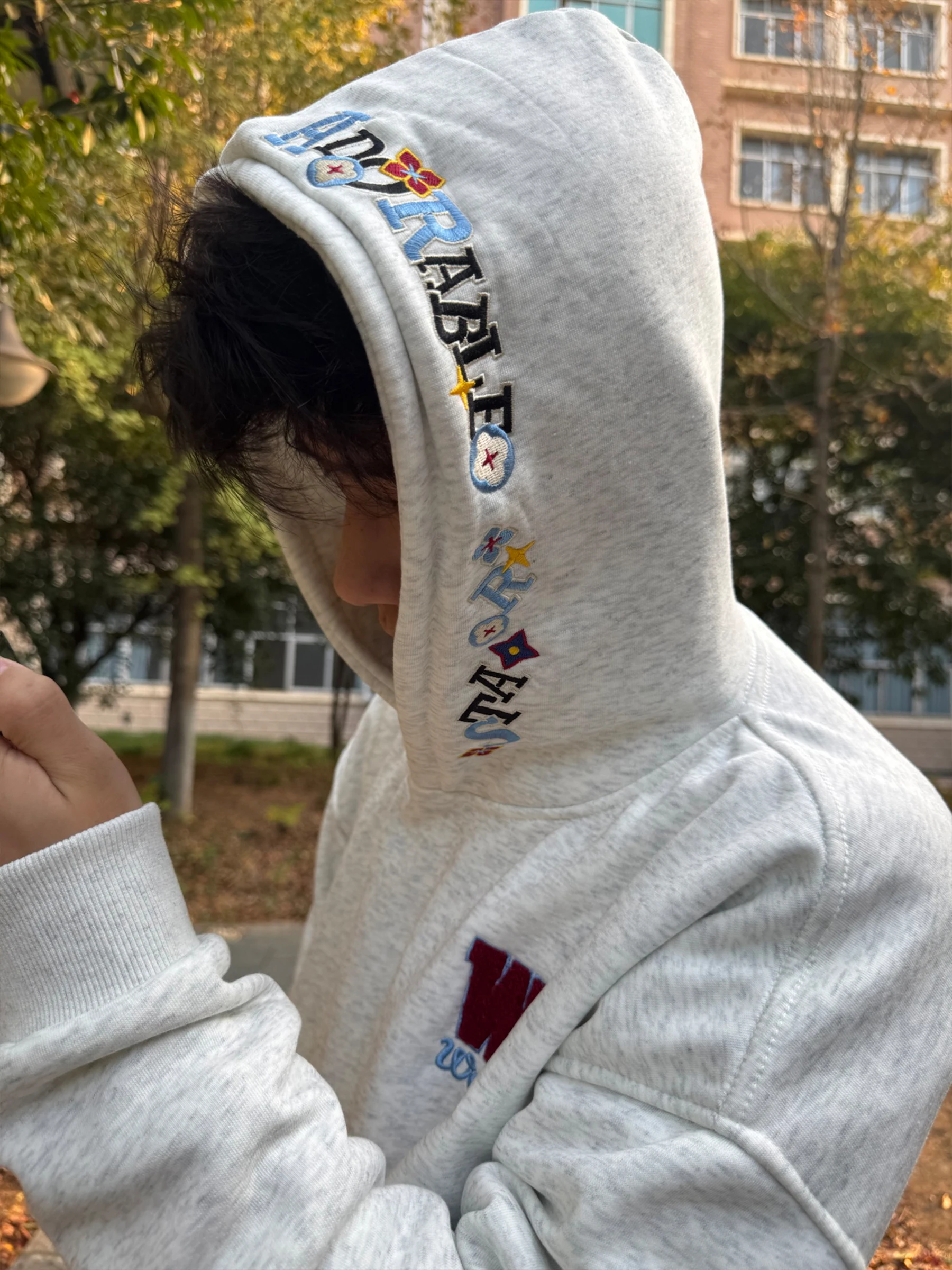 

American Sle Heavyweight Embroidered Letter Hoodie Men's Autumn Winter Loose Fce Thiened Hoodie Couple's Jaet