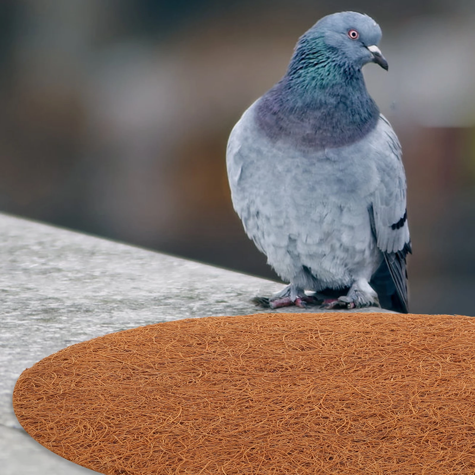 

4 Pcs Coconut Fiber Pigeon Nest Mat Bird Nesting Pads Durable Breeding Eggs Mats Small Birds Lovebirds Rabbits Hamsters Warm