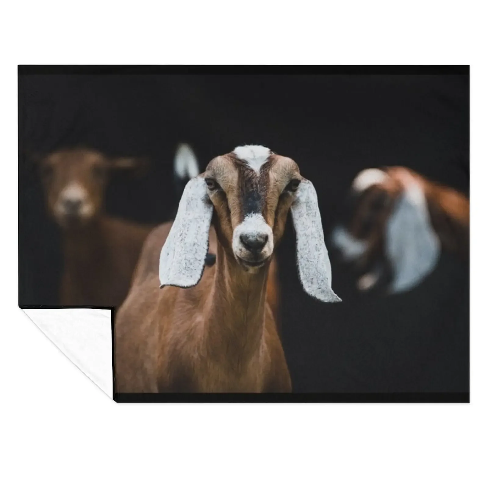 

Nubian doe Throw Blanket Luxury Thicken funny gift Luxury Throw manga Blankets