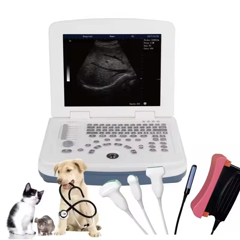 

Veterinary Ultrasound Machine Portable Ultrasound Dog Cat Scanning Machine