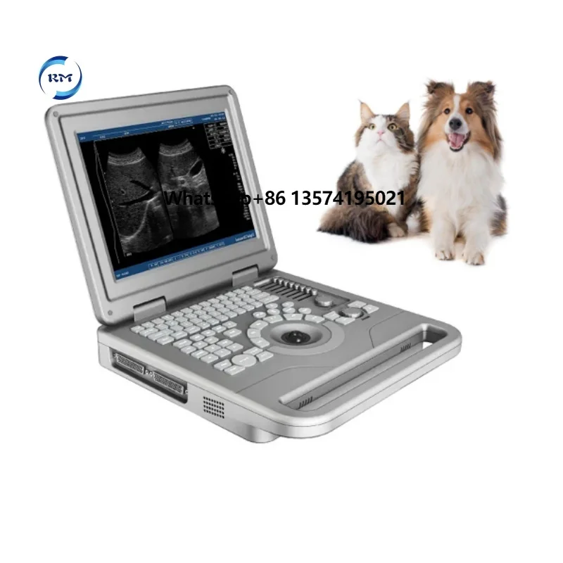 Medical Equipment LED 12 Inch HD Displayer Portable Diagnostic System Ultrasound  Machine With Convex Probes for Animals