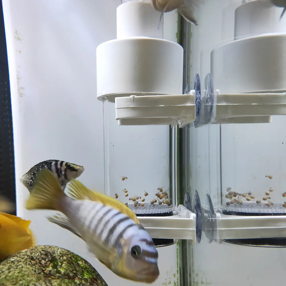 

40 мм инкубационный стакан для рыбных яиц, аквариум Cichlids, стакан для рыбных яиц, аксессуары для инкубаторов