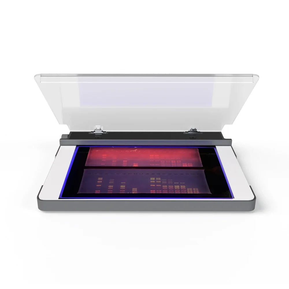 

LED UV transilluminators view DNA or RNA electrophoresis agarose gel