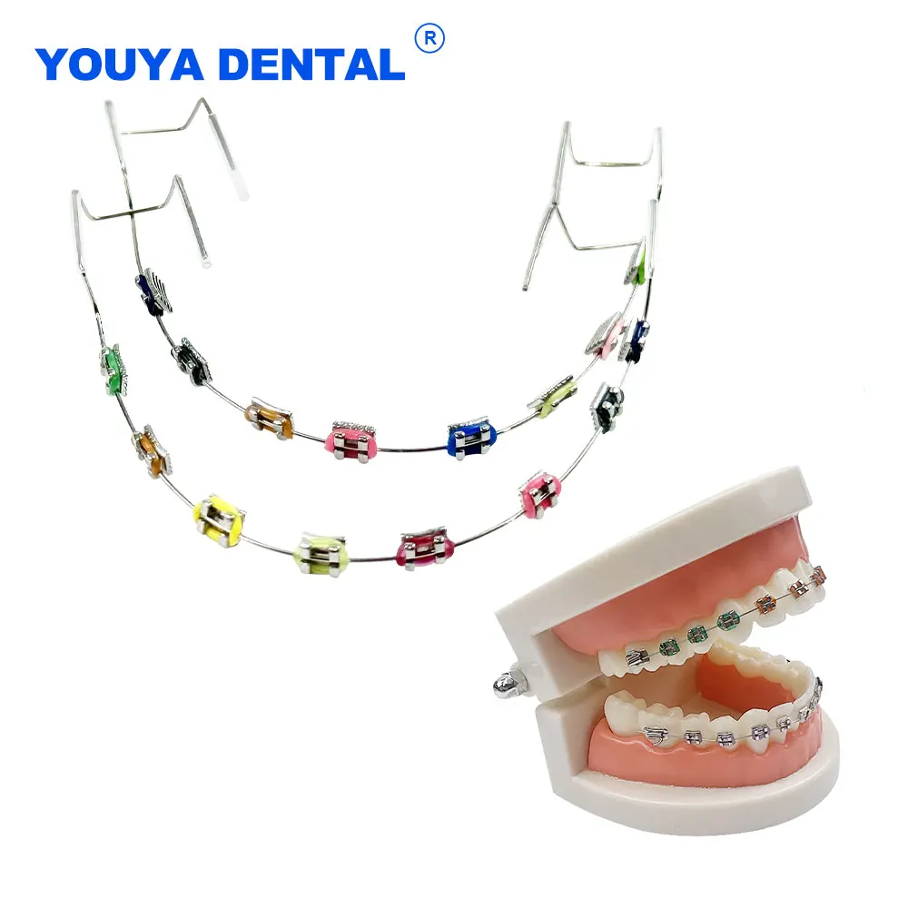 1 Pair Dental Decorations  Colorful Temporary Tooth Decoration With Metal Wires for Orthodontic Ligature Tie Dentist Accessory