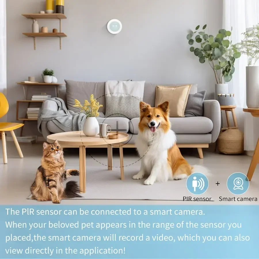 ZigBee Menschlicher Bewegungssensor Tuya Smart PIR Bewegungssensor Detektor Smart Life für Alexa Google Assistant Sicherheit Diebstahlschutz
