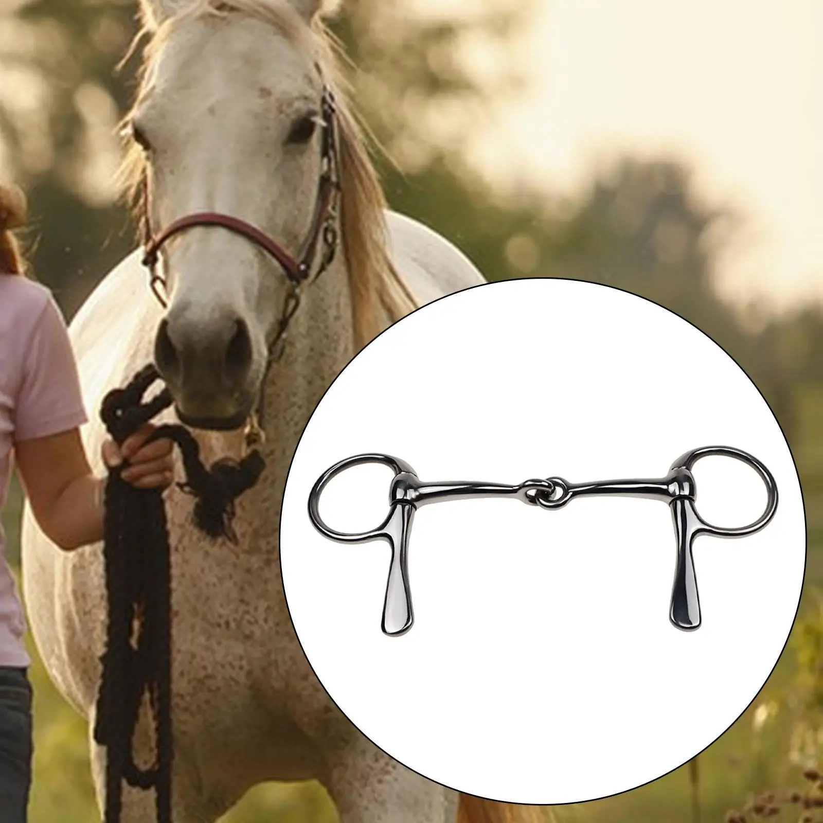 Horse Bit Mouth RapDuty Metal Snaffle Bit pour sports de plein air Horse ChFuk