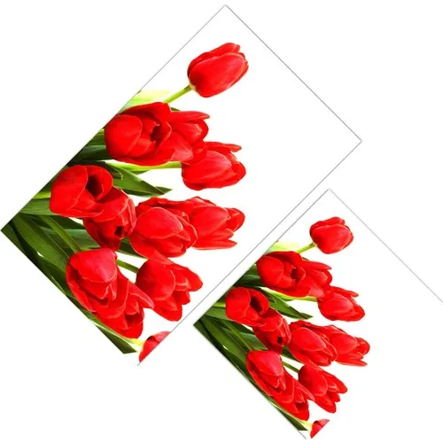 Cici Design Red Tulip Bunch Closet Takımı-60x100-50x60