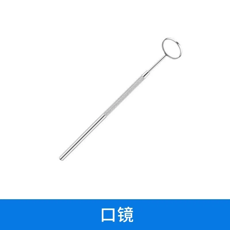 Stainless Steel Dentist Clean Tools Dental Mirror Double Probe Sickle Hoe Tooth Cleaner Dental Tool Products Oral Care Kit