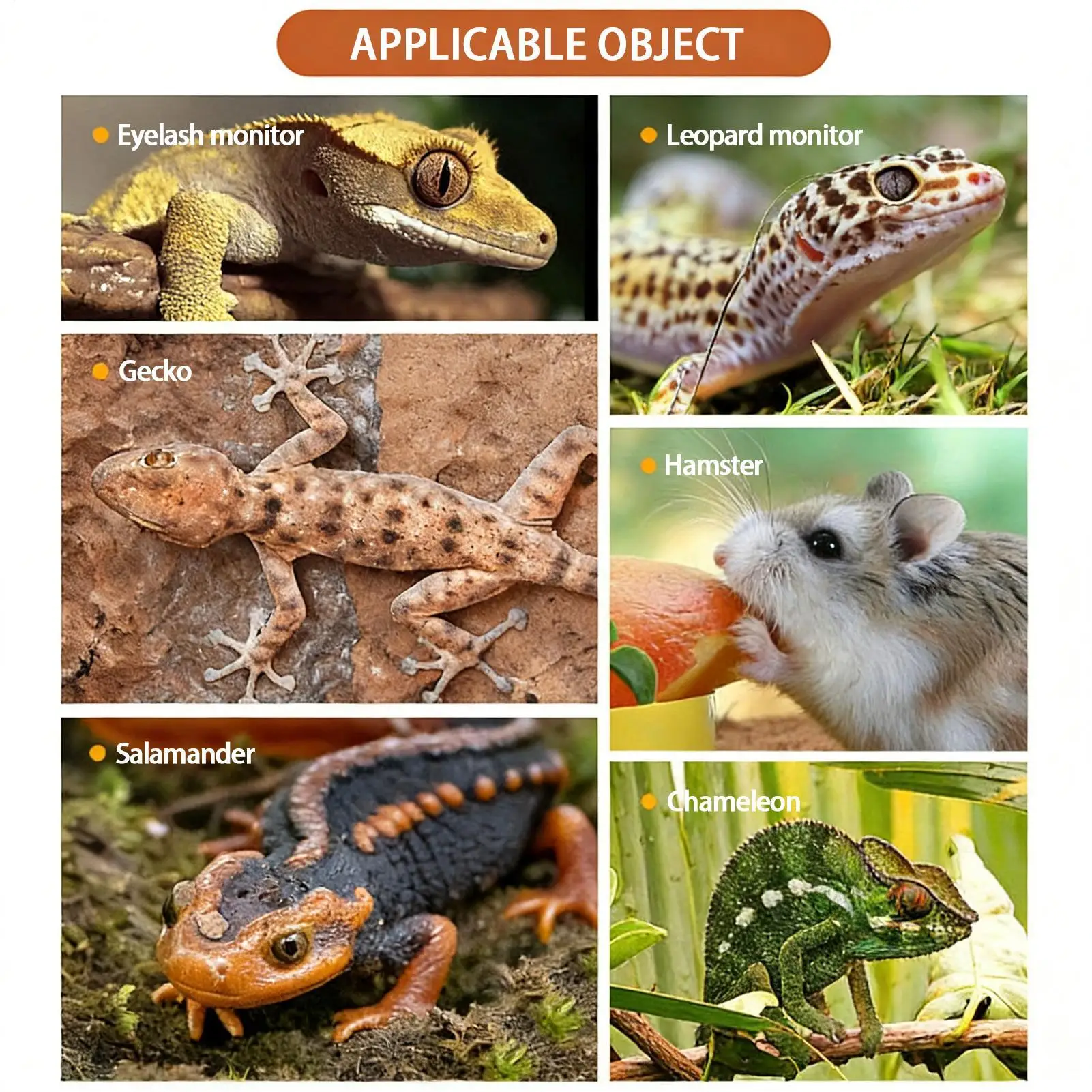Automatischer Schwerkraft-Wasserspender für Reptilien, abnehmbarer Napf für Eidechsen, Schlangen, Schildkröten, Chamäleons, Geckos, ohne Stromversorgung – Detail 4