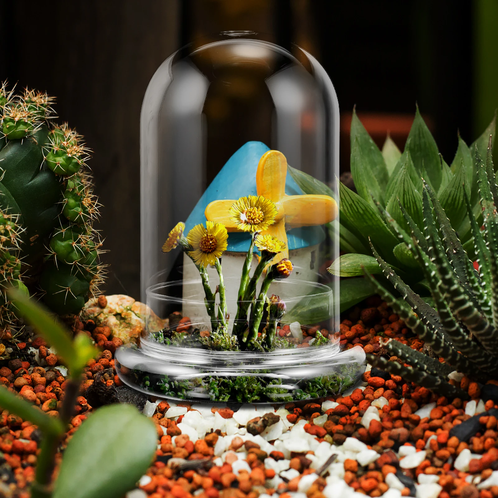 

Glass Moss Ecological Bottle Transparent DIY Micro Landscape Vase Clear Planter Display for Plants Micro Landscape Accessory