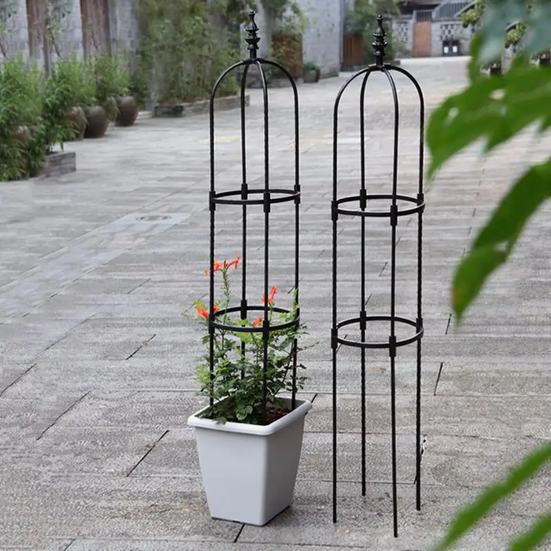 Climbing Rattan Frame Plant Potted Support Frame Metal Iron Flower Vegetable Decorative Lattice Support