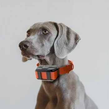 

TTT Realtime Location Remote Waterproof Tracking Device Collar Pet Product Tracker GPS for Dog