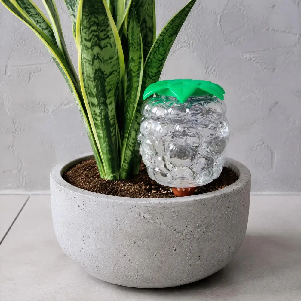 Slow Release Water Spikes Automatic Plant Watering Bulb Set Grape Shaped Self Watering Globes with Spikes Indoor Potted Plants