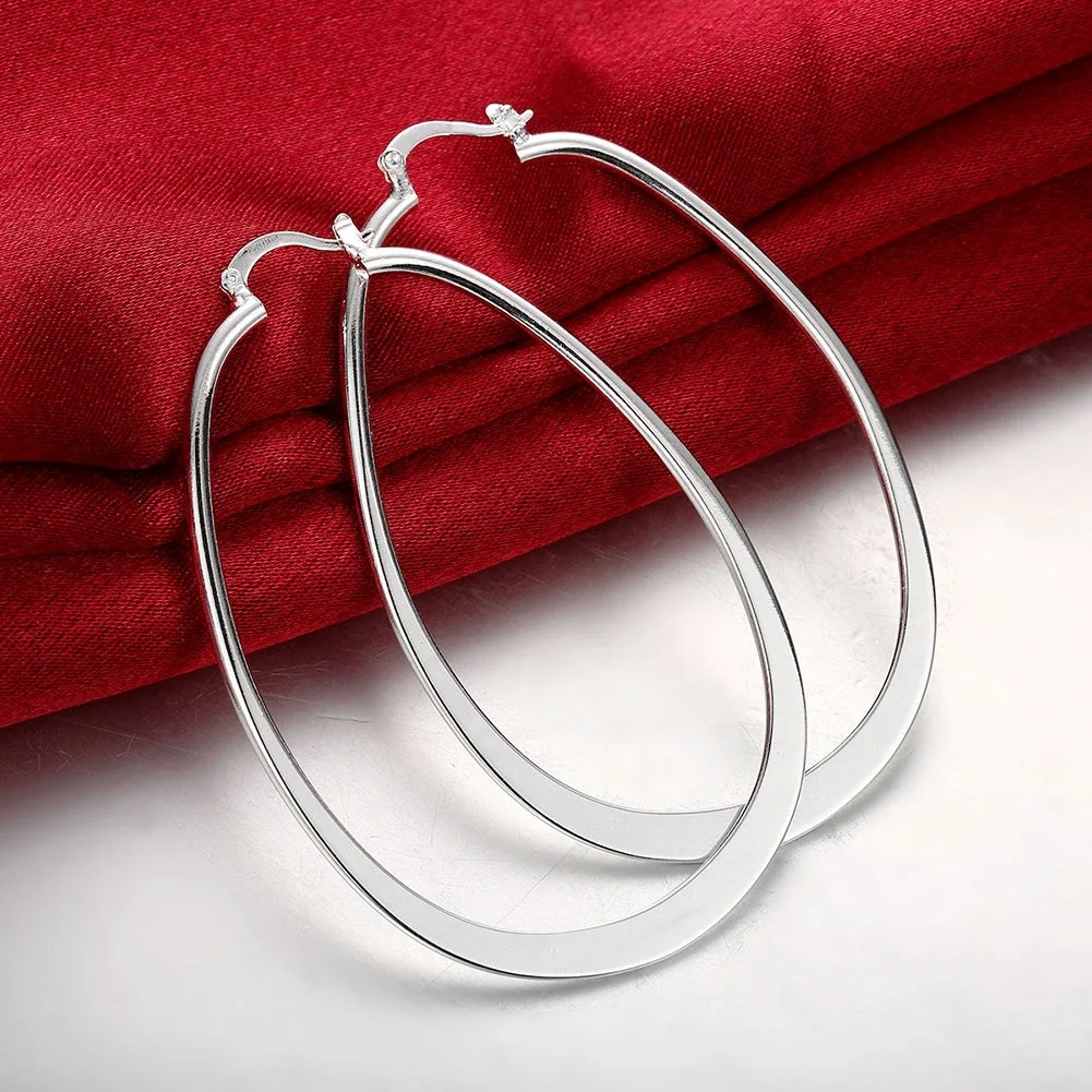 New Women's Earrings 925 Sterling Silver Original Pendant Double Hoop Earrings Pavé Cubic Zirconia Exquisite Engagement Annivers