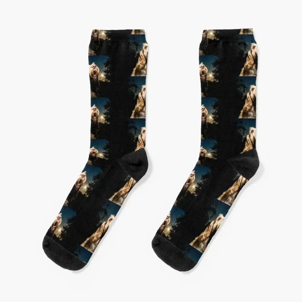 

Stargazing Spinone Socks funny sock bright garter Men Socks Women's