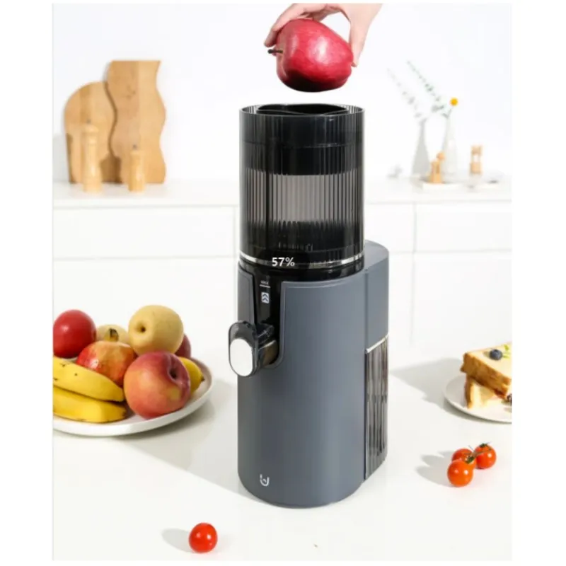 

Masticating Juicer Fruit Cold Press Slow Juicer Extractor Fruit and Vegetable Orange Slow Juicer Machine