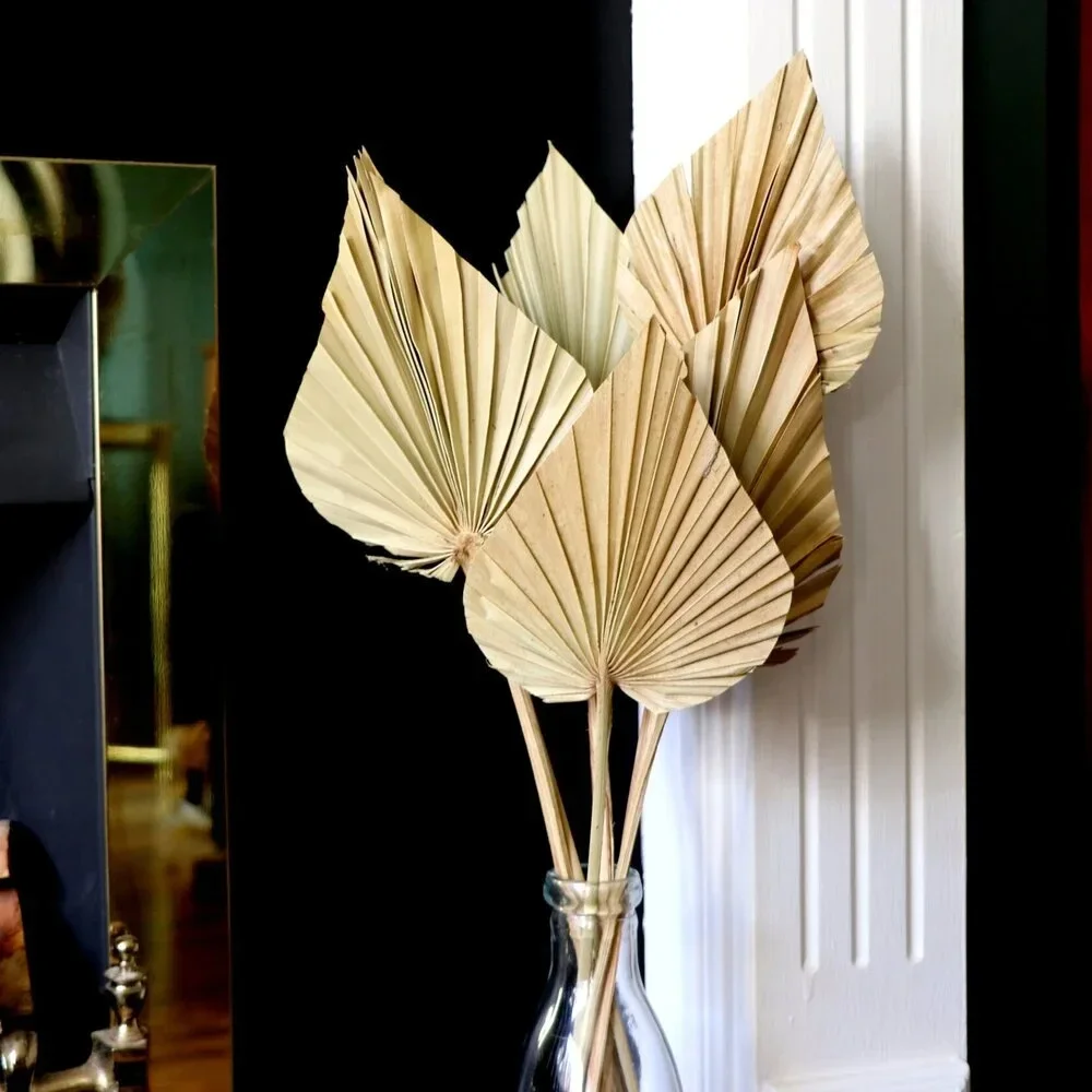 

2PCS Palm Fan Leaf Dried Flower Mini Palm Leaves In Different Shapes Pampas Grasses Branches DIY Wedding Decorations Decor Fern