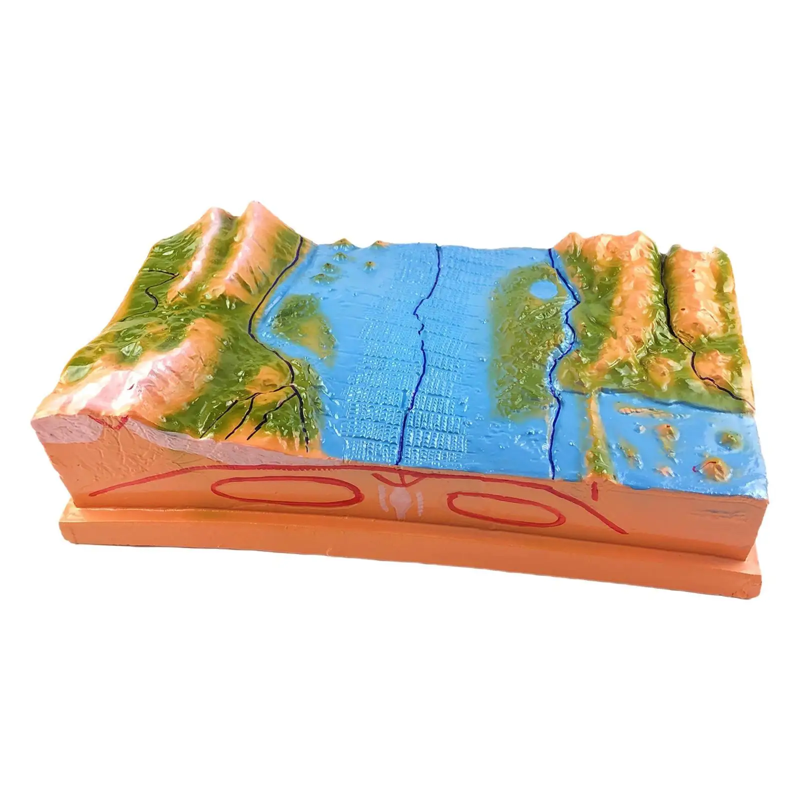 Geography Teaching Model Educational Geographic Plate Model for School Class