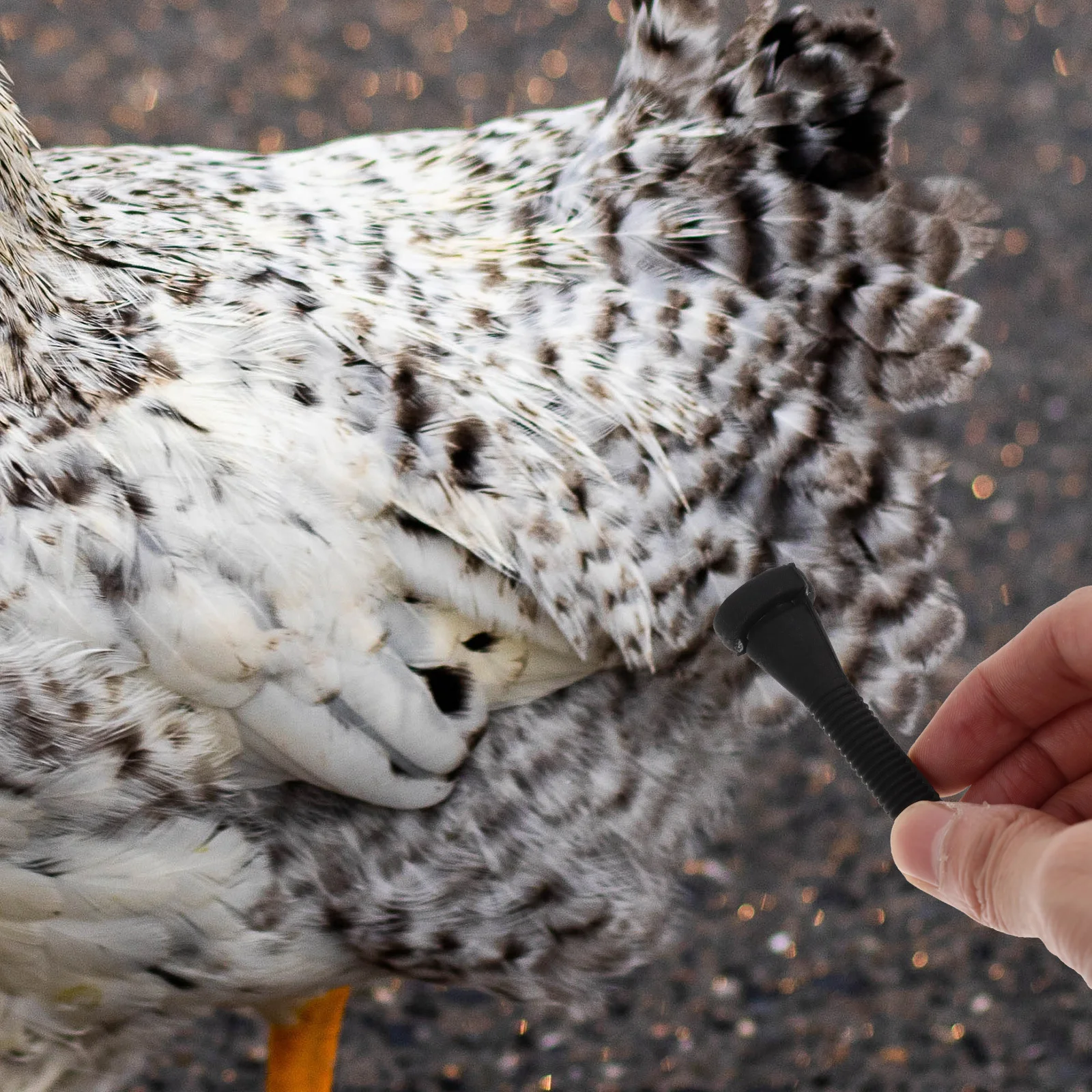 10 pçs depenador de frango dedos aves ferramenta de remoção de pêlos bordas redondas suaves haste de depenagem profissional para abate