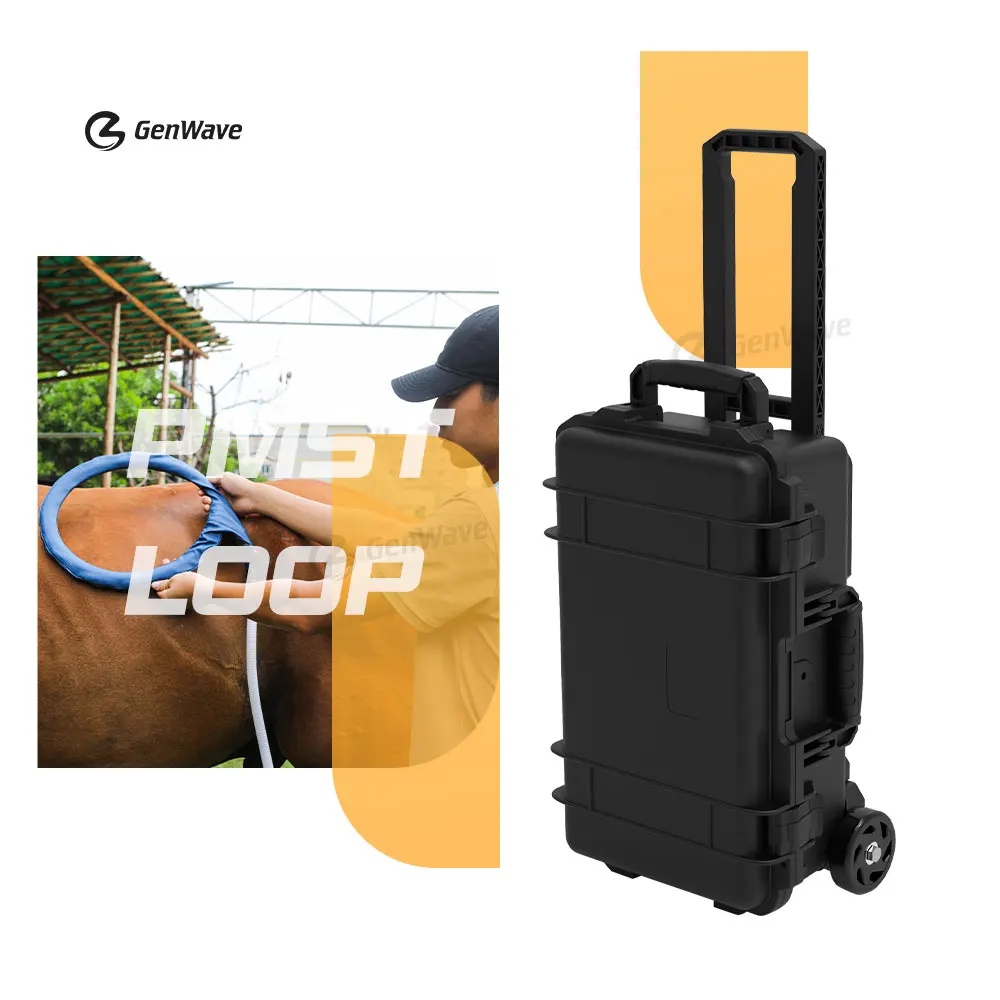 Hot-Selling Horse Magnetic PEMF Therapy Machines PMST-VET PEMF Loop For Horses Pain Relief Physiotherapy Machine
