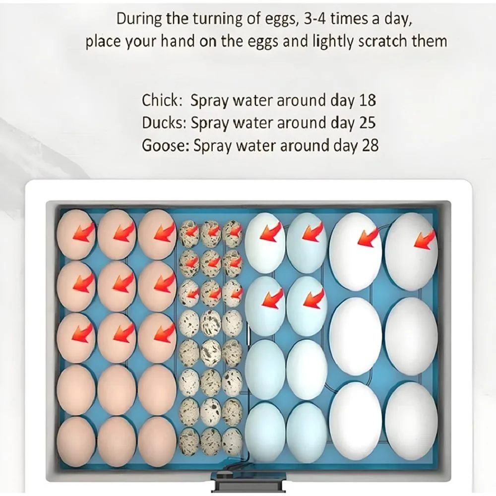 حاضنة بيض الدواجن الصغيرة الثرموستاتي لمدة 24 ساعة، ماكينة تفريخ المزرعة الأوتوماتيكية الكاملة للتحكم في درجة الحرارة، هادئة ذكية #2