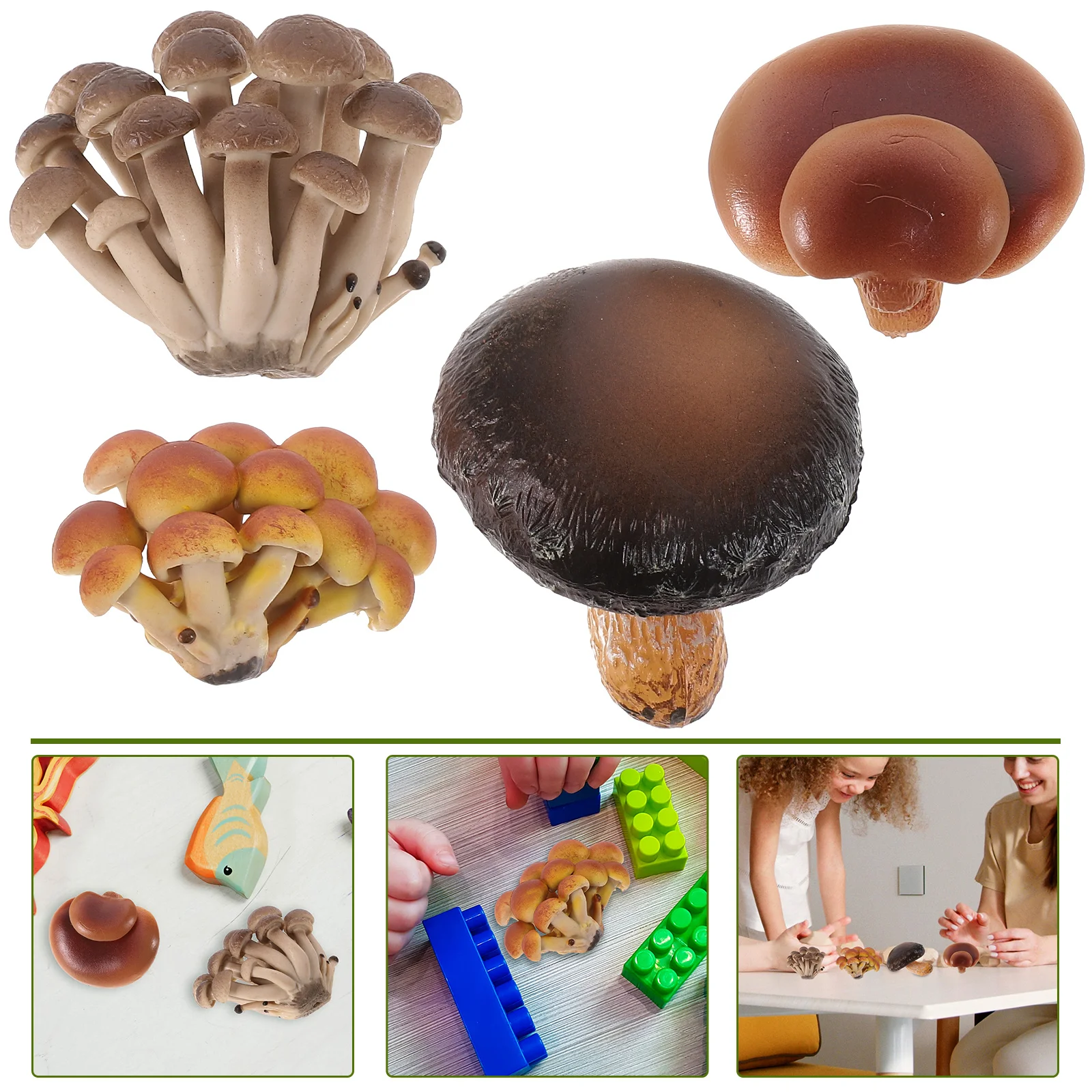 

Simulated Growth Cycle Fungus Set Children's Early Education Science and Toy Model Mushroom Toddlers Learning Toys Miniature