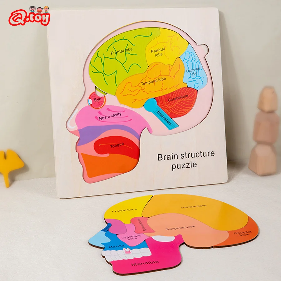 Wooden Montessori Brain Structure Cognition Puzzle Board Toys Educational Multi-Layered Learning Toys for Kids Early Development