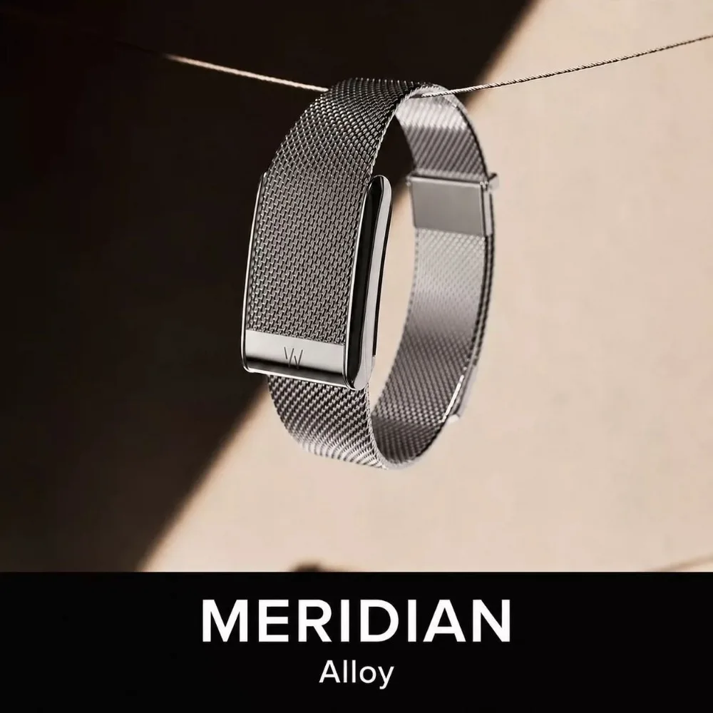 For WHOOP 5.0 MG Milanese Stainless Steel Band Breathable Metal Mesh Strap Business Casual Magnetic Replacement Wristband