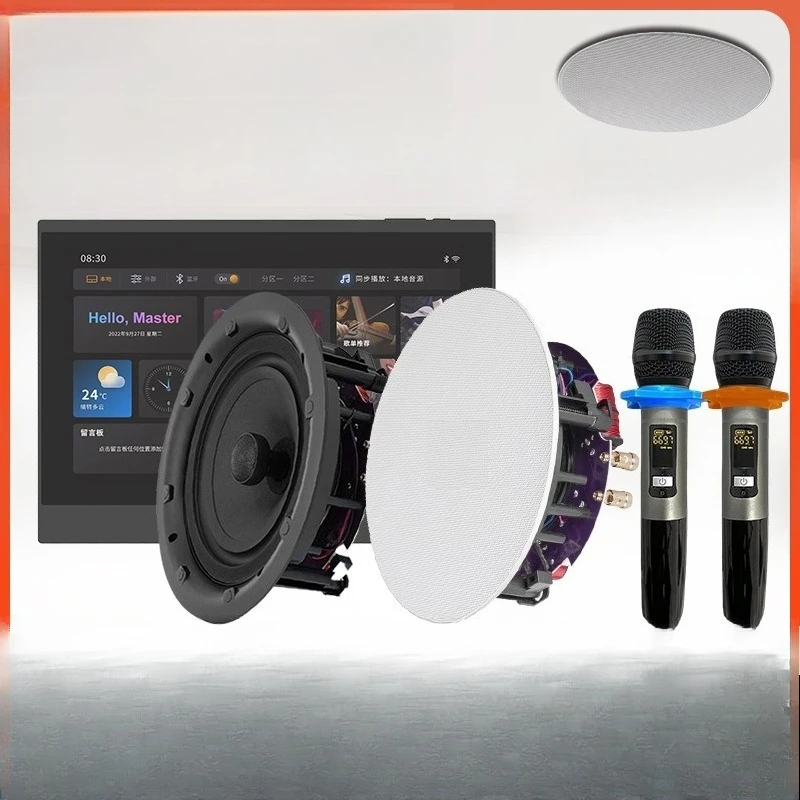 

Ceiling audio, background music, smart home ceiling speakers, home theater living room ceiling