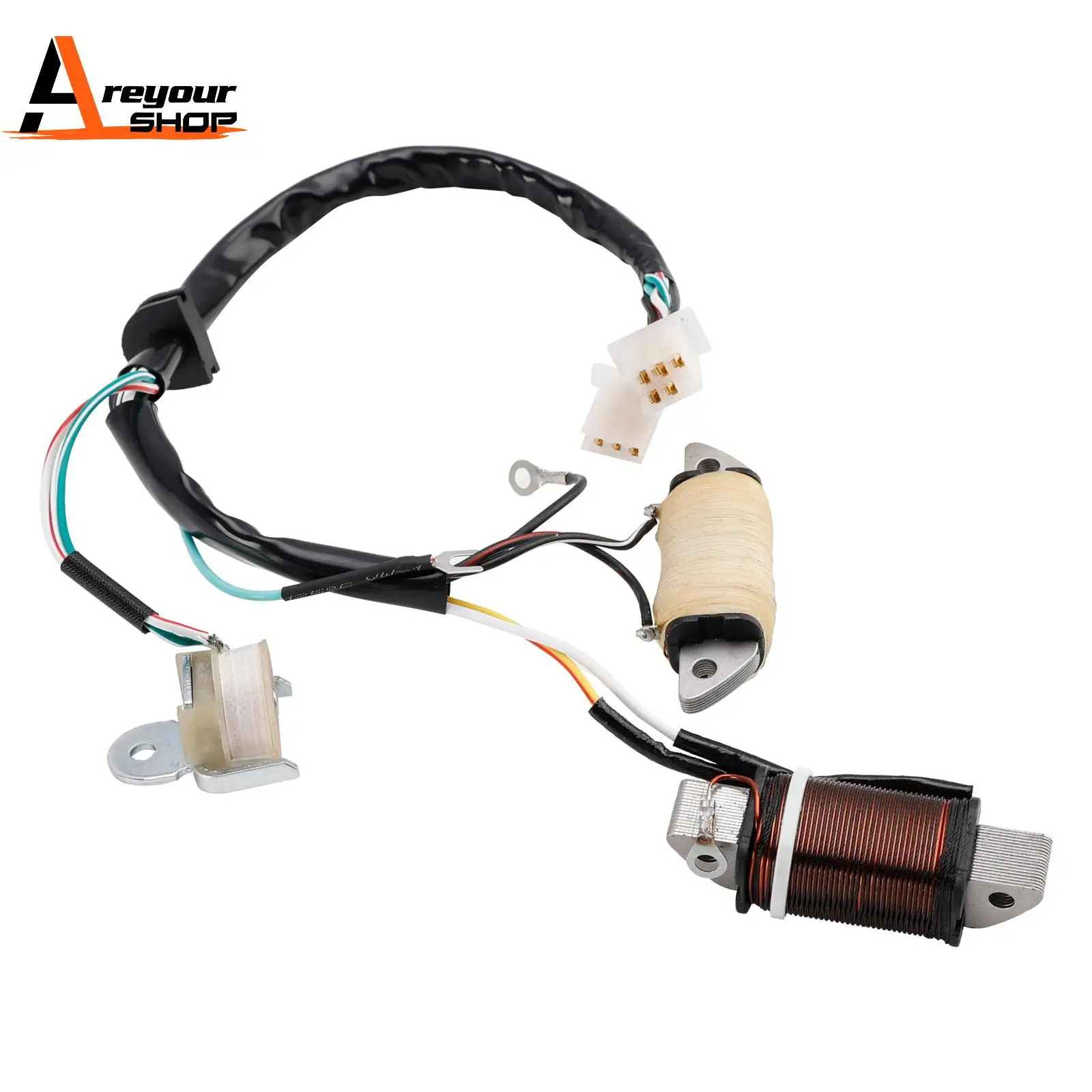 Charging Coil & Lig…